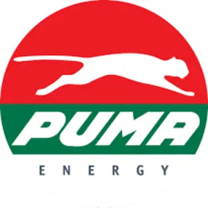 Gasolinera Puma